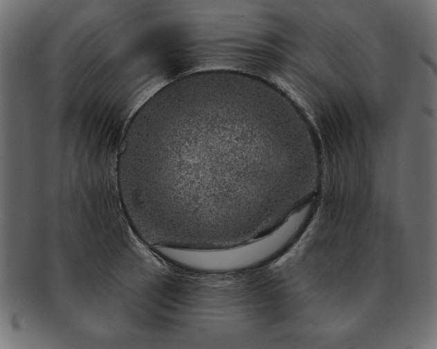 X0000091721137200709071430