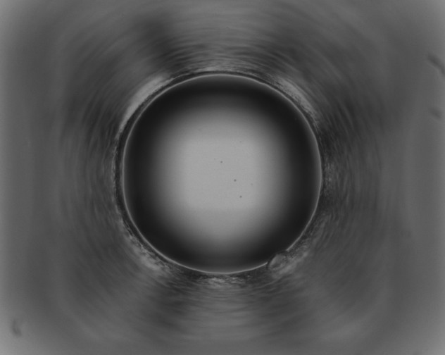 X0000091721138200709071430