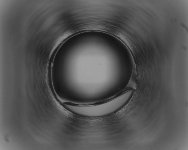 X0000091721139200709071430