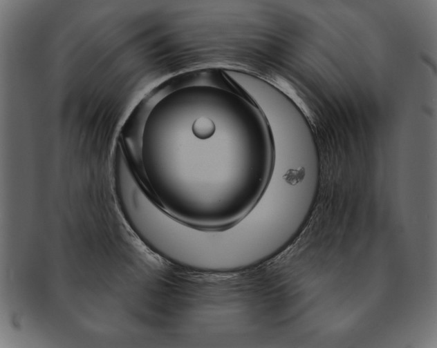 X0000091721140200709071430