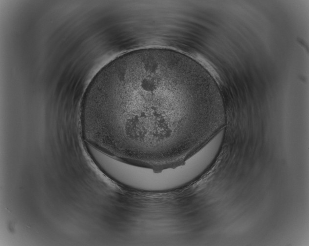 X0000091721142200709071430