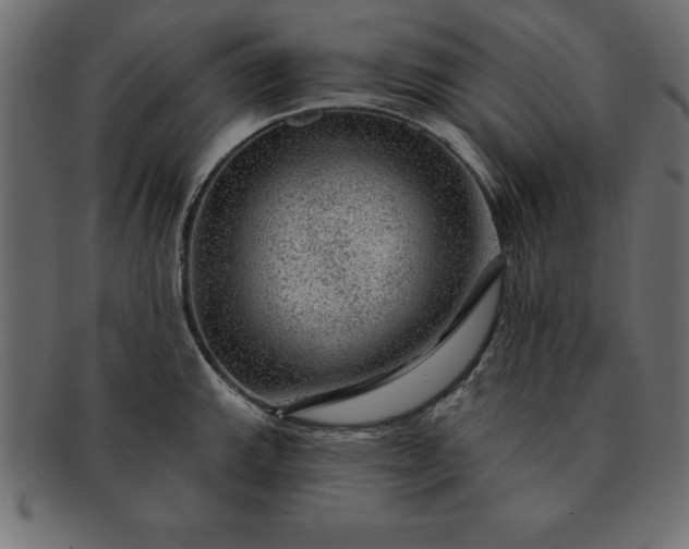 X0000091721143200709071430