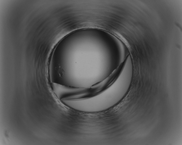 X0000091721144200709071430