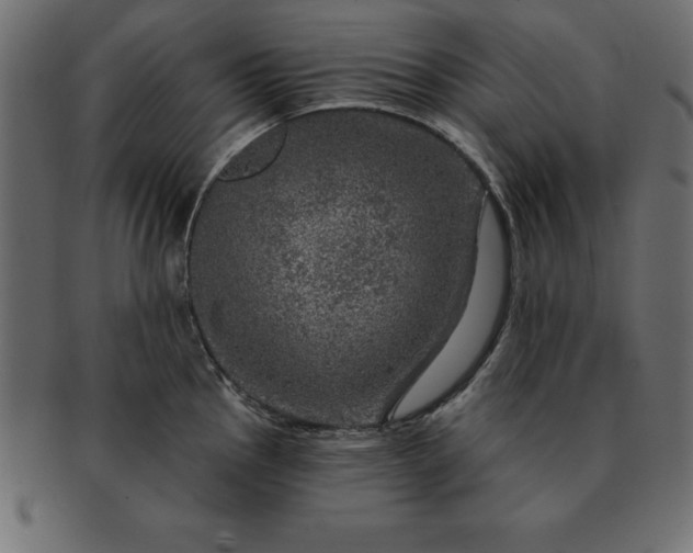 X0000091721145200709071430