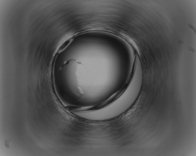 X0000091721146200709071430