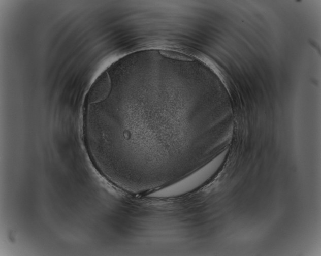 X0000091721147200709071430