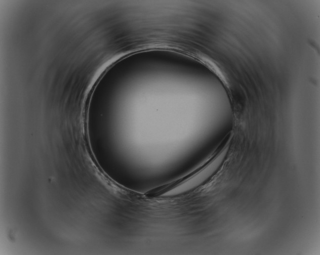 X0000091721148200709071430