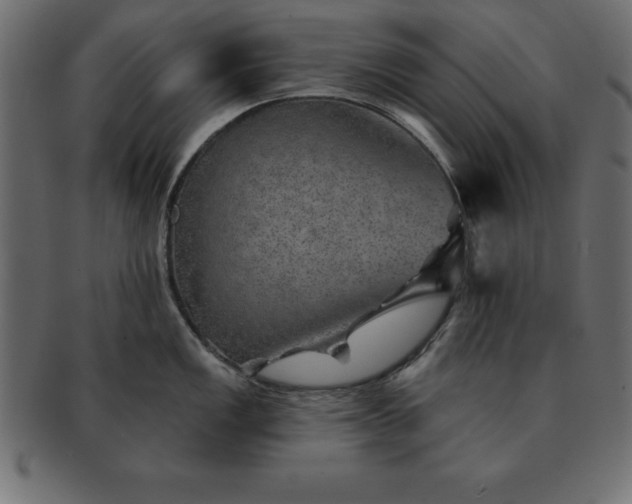 X0000091721149200709071430