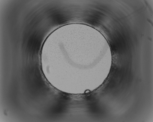 X0000091721150200709071430