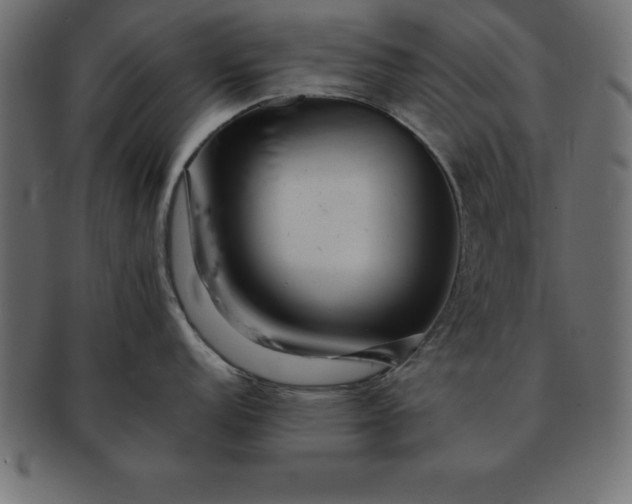 X0000091721152200709071430