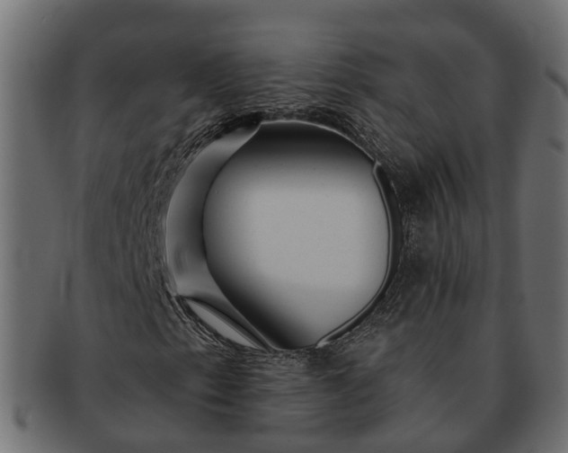 X0000091721153200709071429