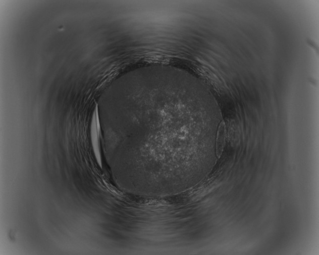 X0000091721154200709071429