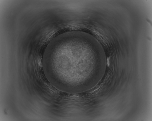 X0000091721155200709071429