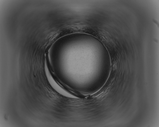 X0000091721156200709071429