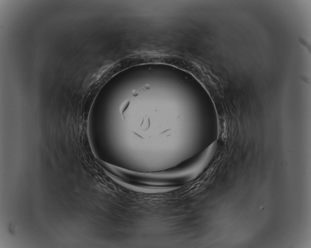 X0000091721157200709071429