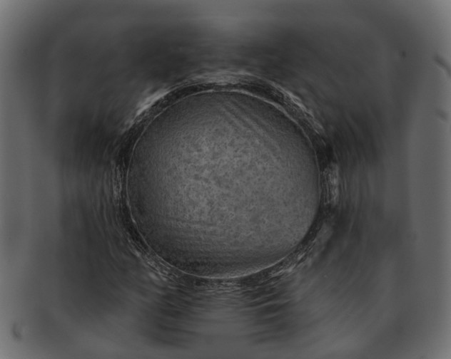 X0000091721158200709071429