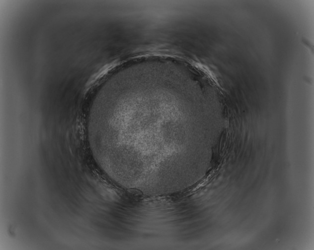 X0000091721159200709071429