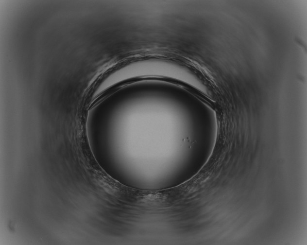 X0000091721160200709071429