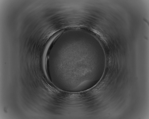 X0000091721161200709071429