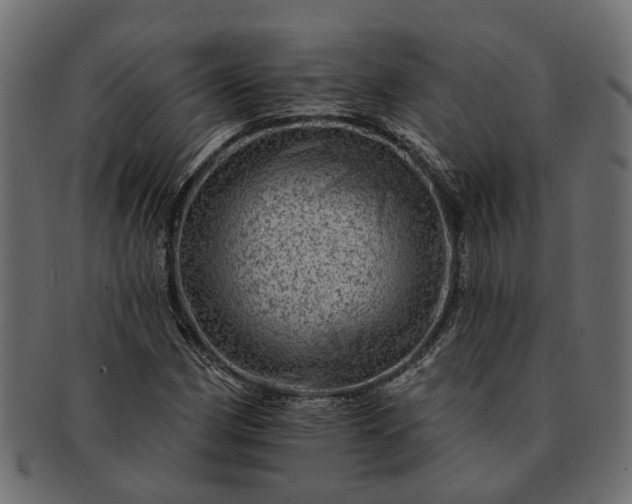 X0000091721162200709071429