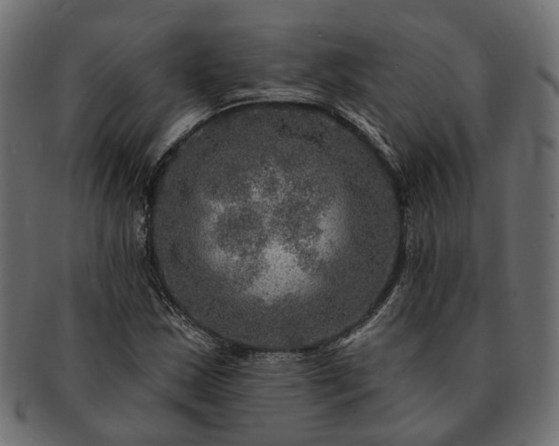 X0000091721163200709071429