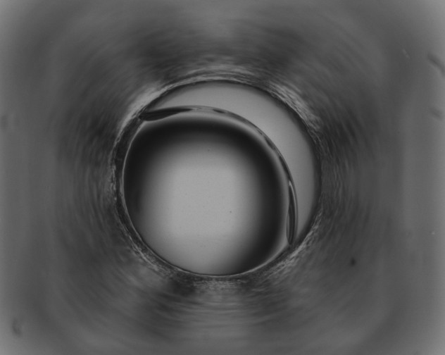 X0000091721164200709071429