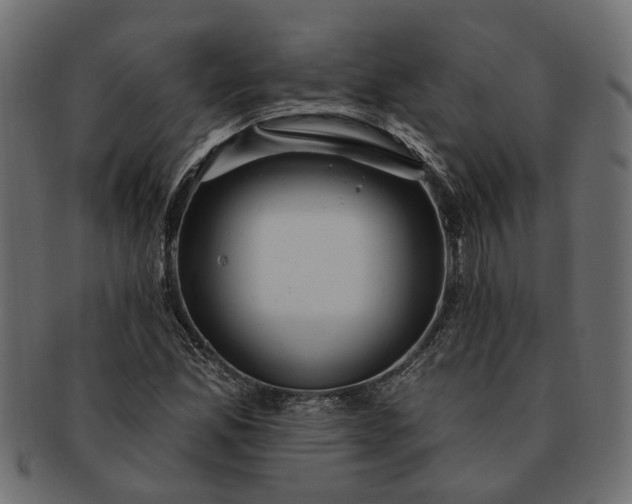 X0000091721165200709071429