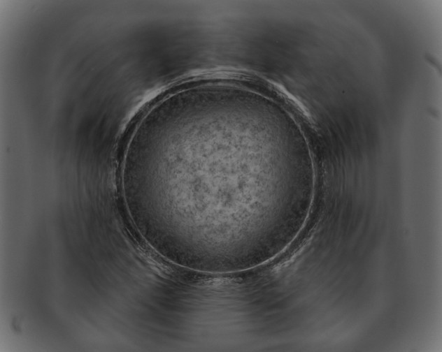 X0000091721166200709071429