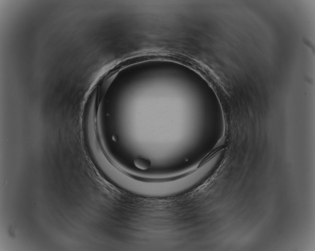 X0000091721168200709071429