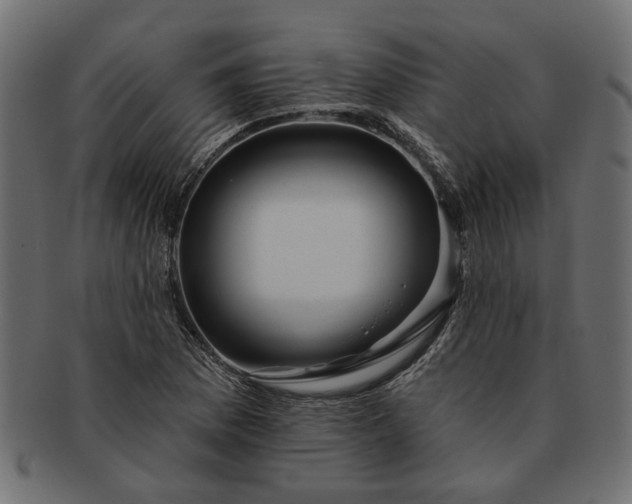 X0000091721169200709071429