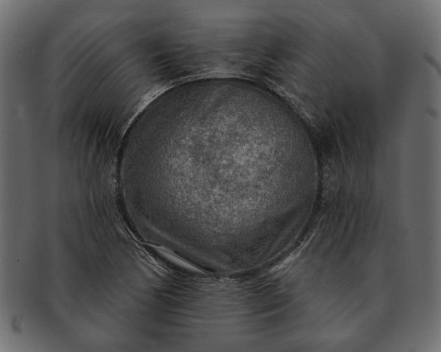 X0000091721170200709071429