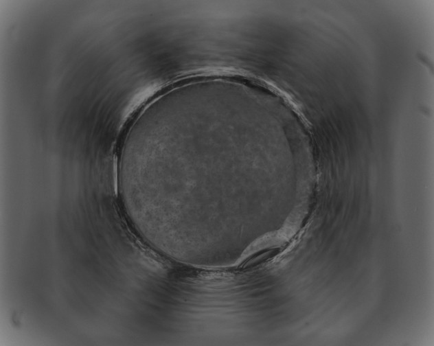 X0000091721171200709071429