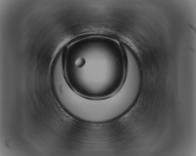 X0000091721172200709071429