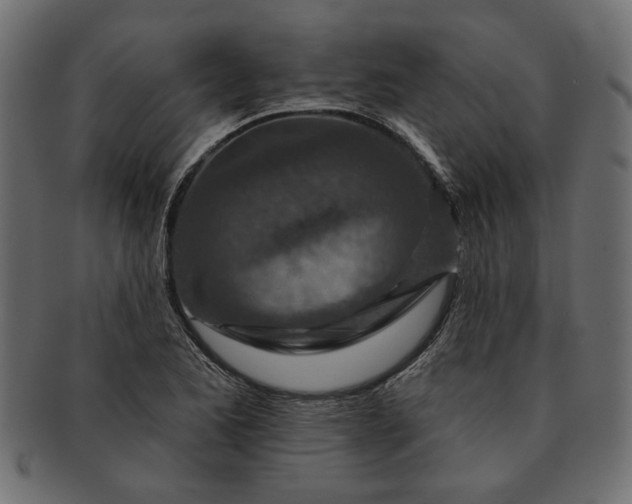 X0000091721173200709071429