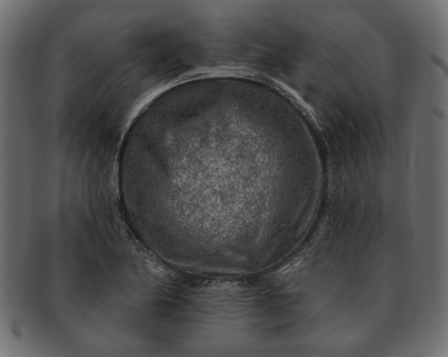 X0000091721174200709071429