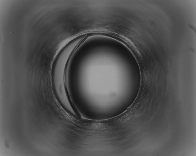 X0000091721176200709071429