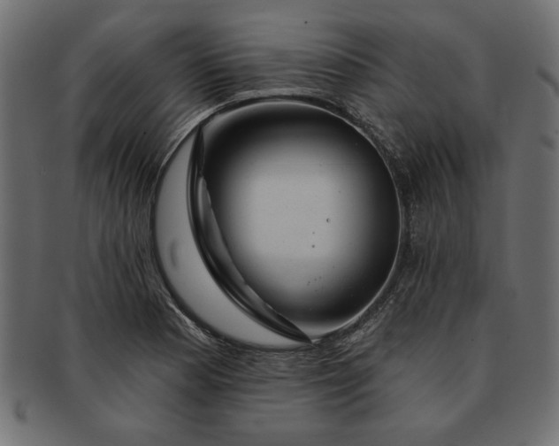 X0000091721177200709071429