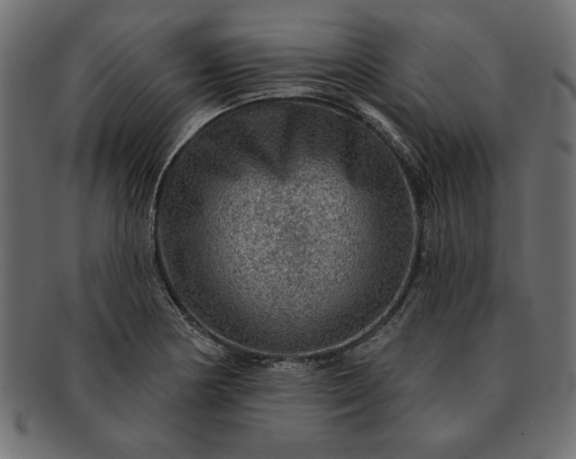 X0000091721178200709071429