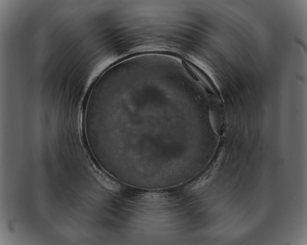 X0000091721179200709071429