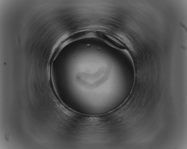 X0000091721180200709071429