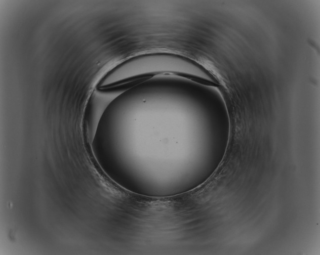 X0000091721181200709071429