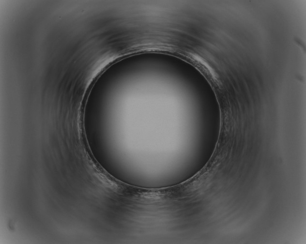 X0000091721182200709071429