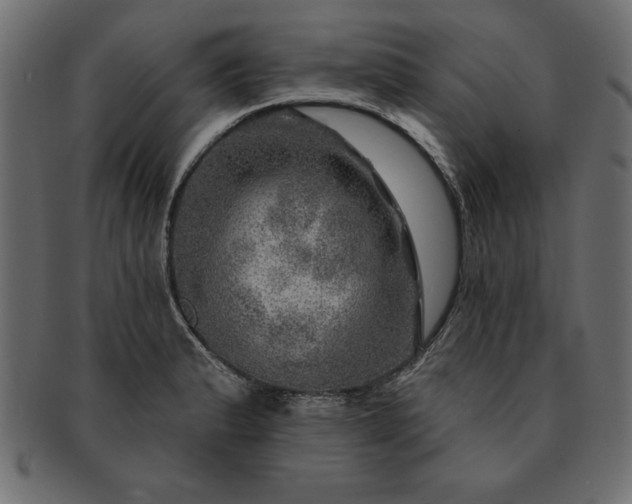 X0000091721183200709071429