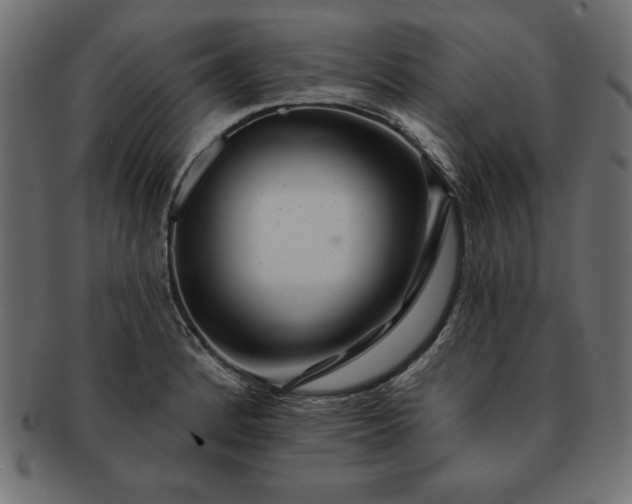 X0000091721184200709071429