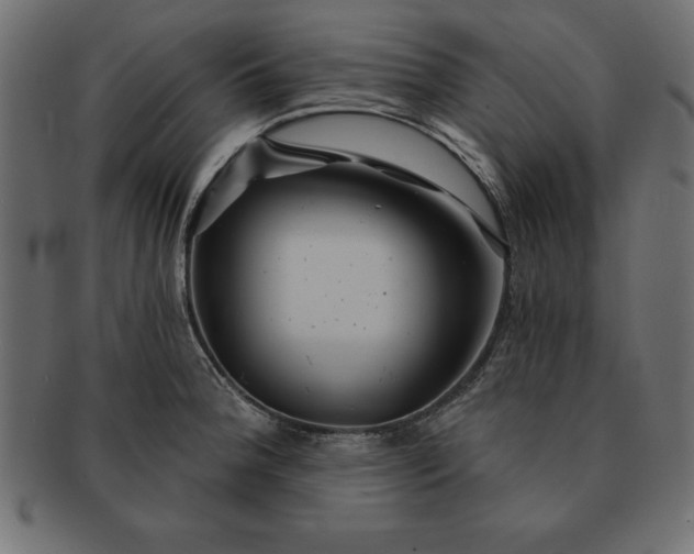 X0000091721188200709071429