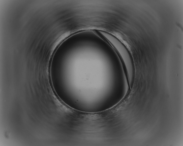 X0000091721189200709071429