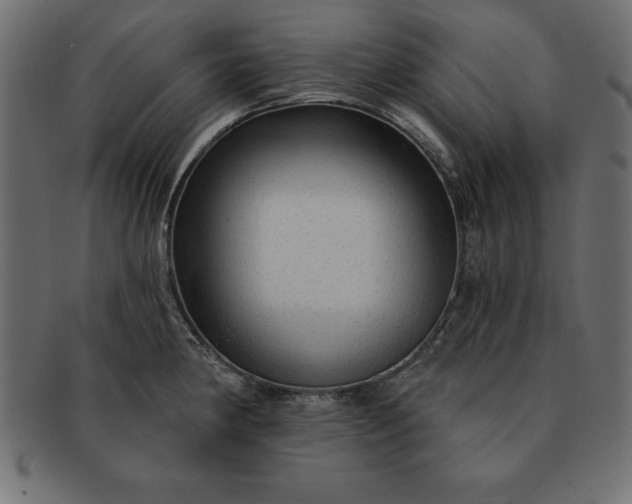 X0000091721190200709071429