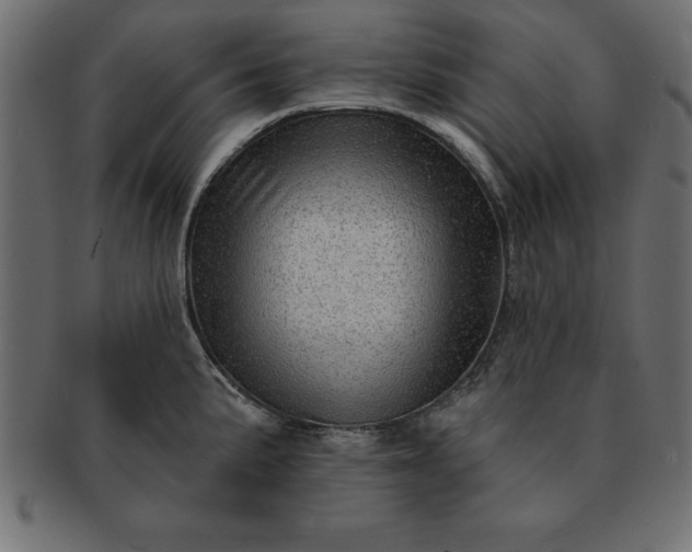 X0000091721191200709071429