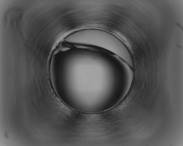 X0000091721192200709071429