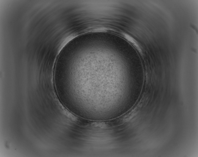 X0000091721194200709071429